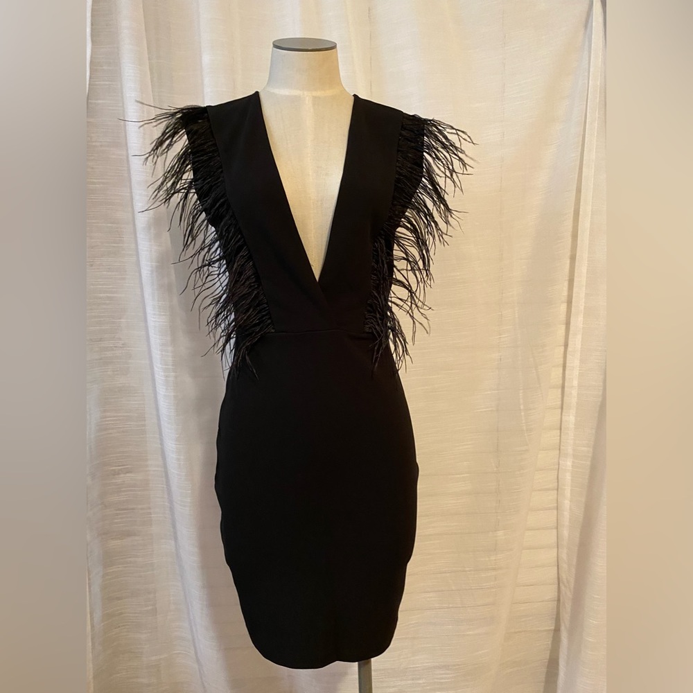 Symphony V-Neck Feather Trimmed Mini Dress, size small
